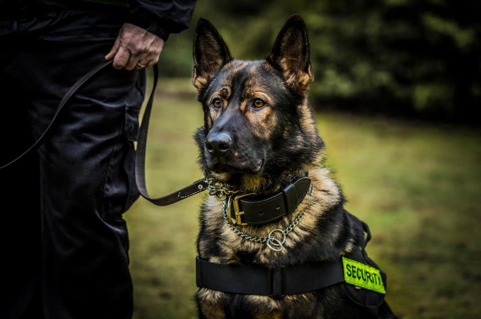 MANNED GUARD & SERVICES